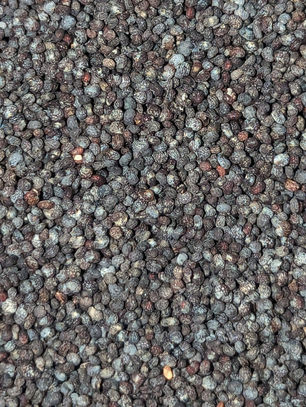 Bulk Poppy Seeds~Discontinued/Unavailable